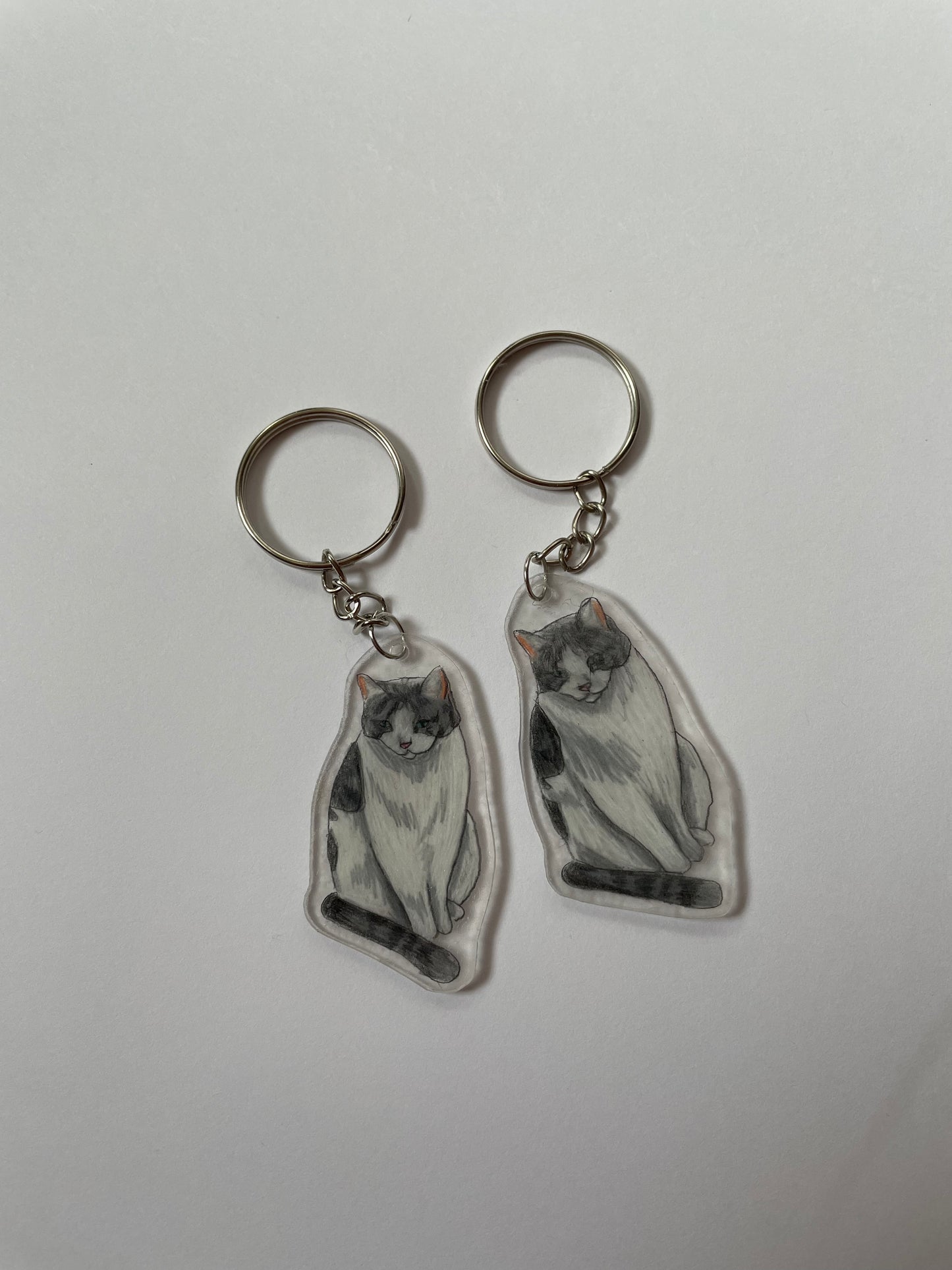 Customisable pet Keyring