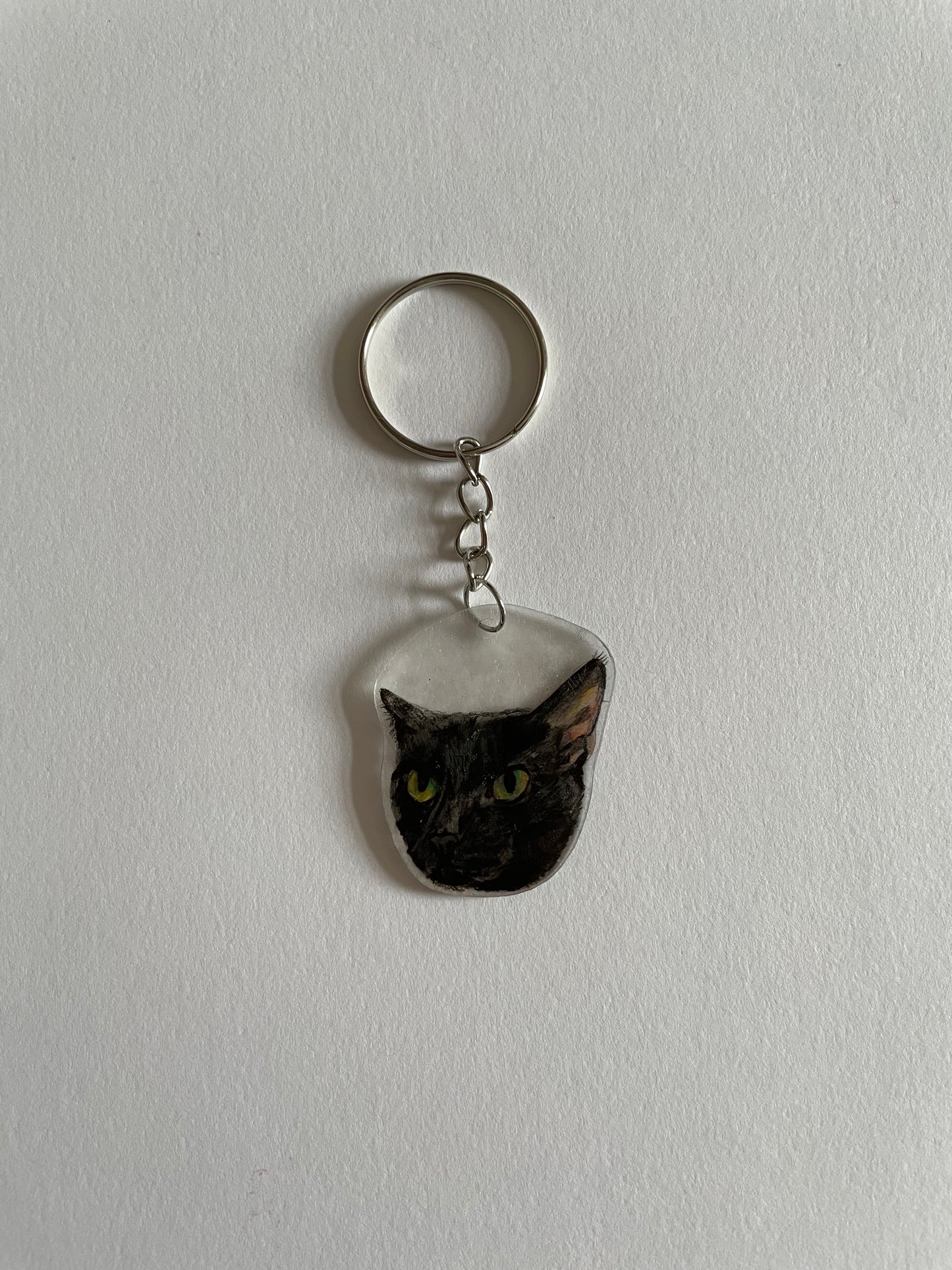 Customisable pet Keyring