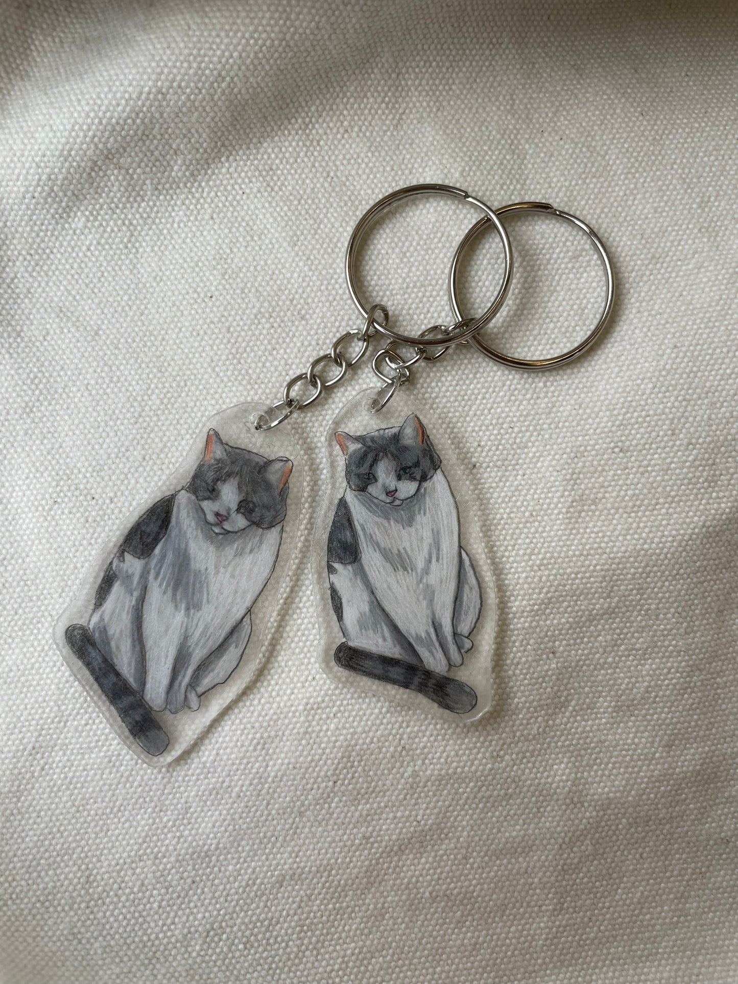 Customisable pet Keyring