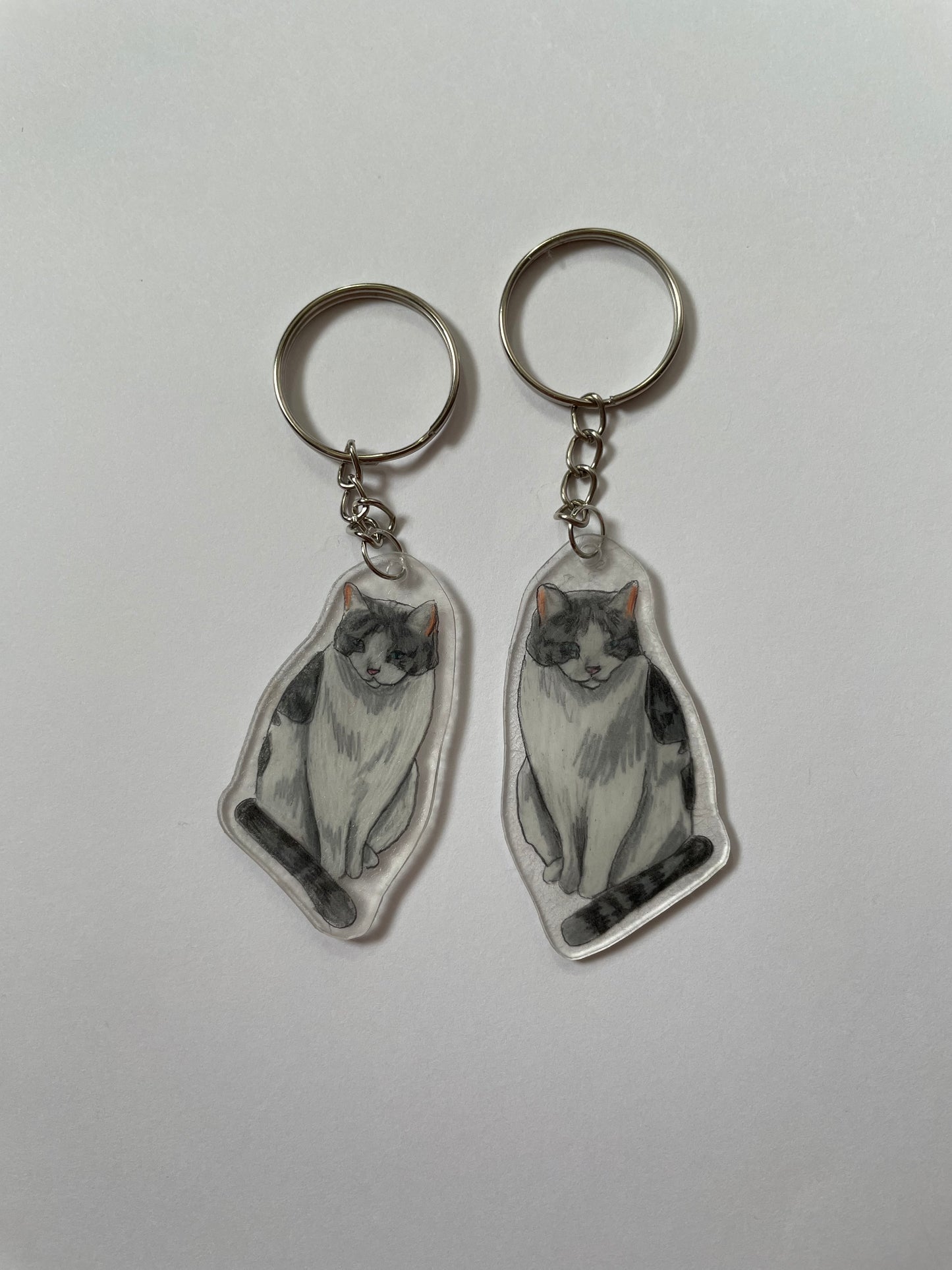 Customisable pet Keyring