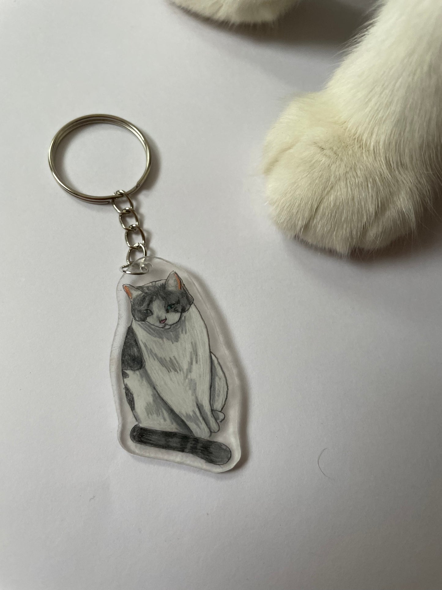 Customisable pet Keyring