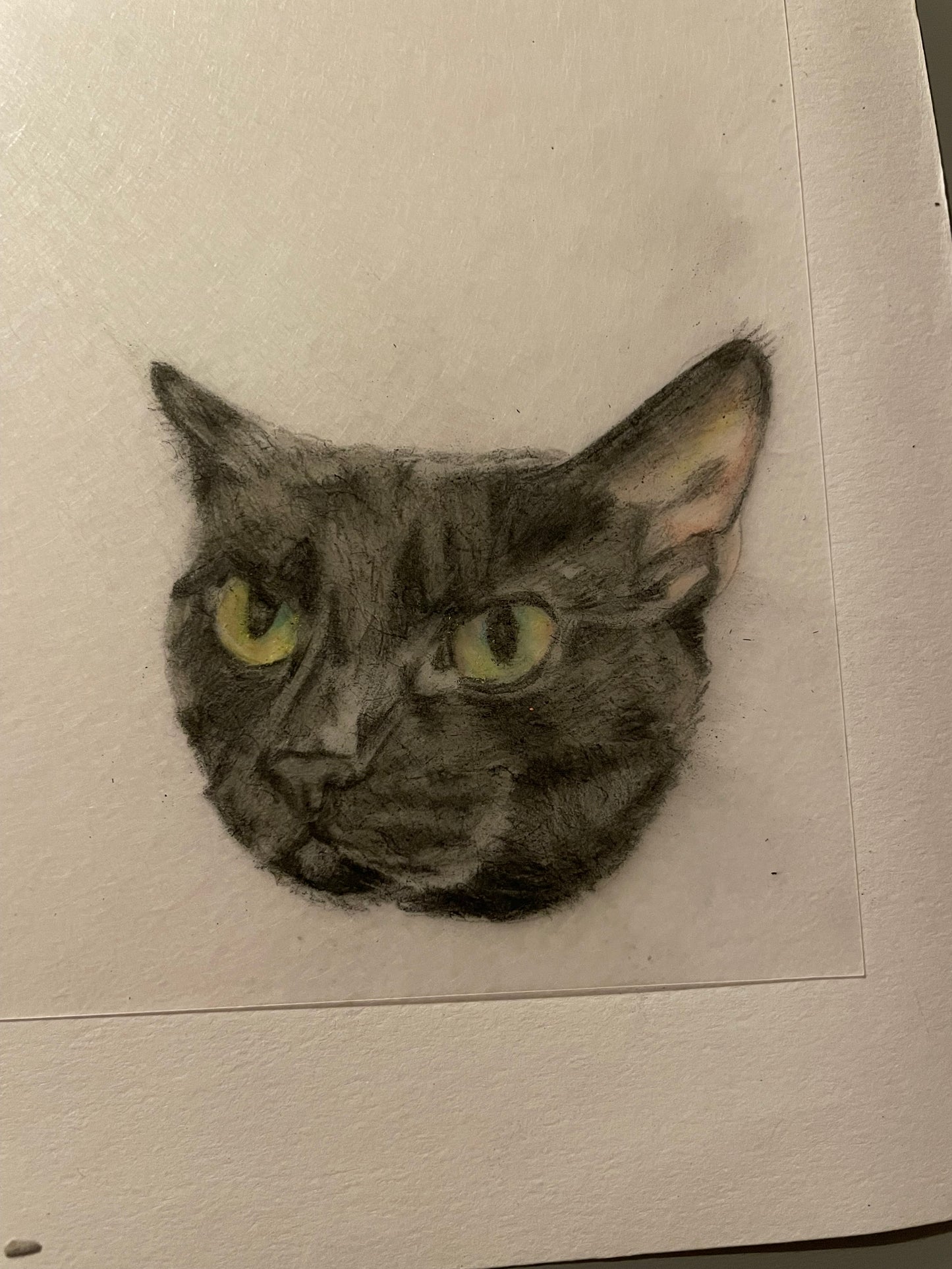 Customisable pet Keyring