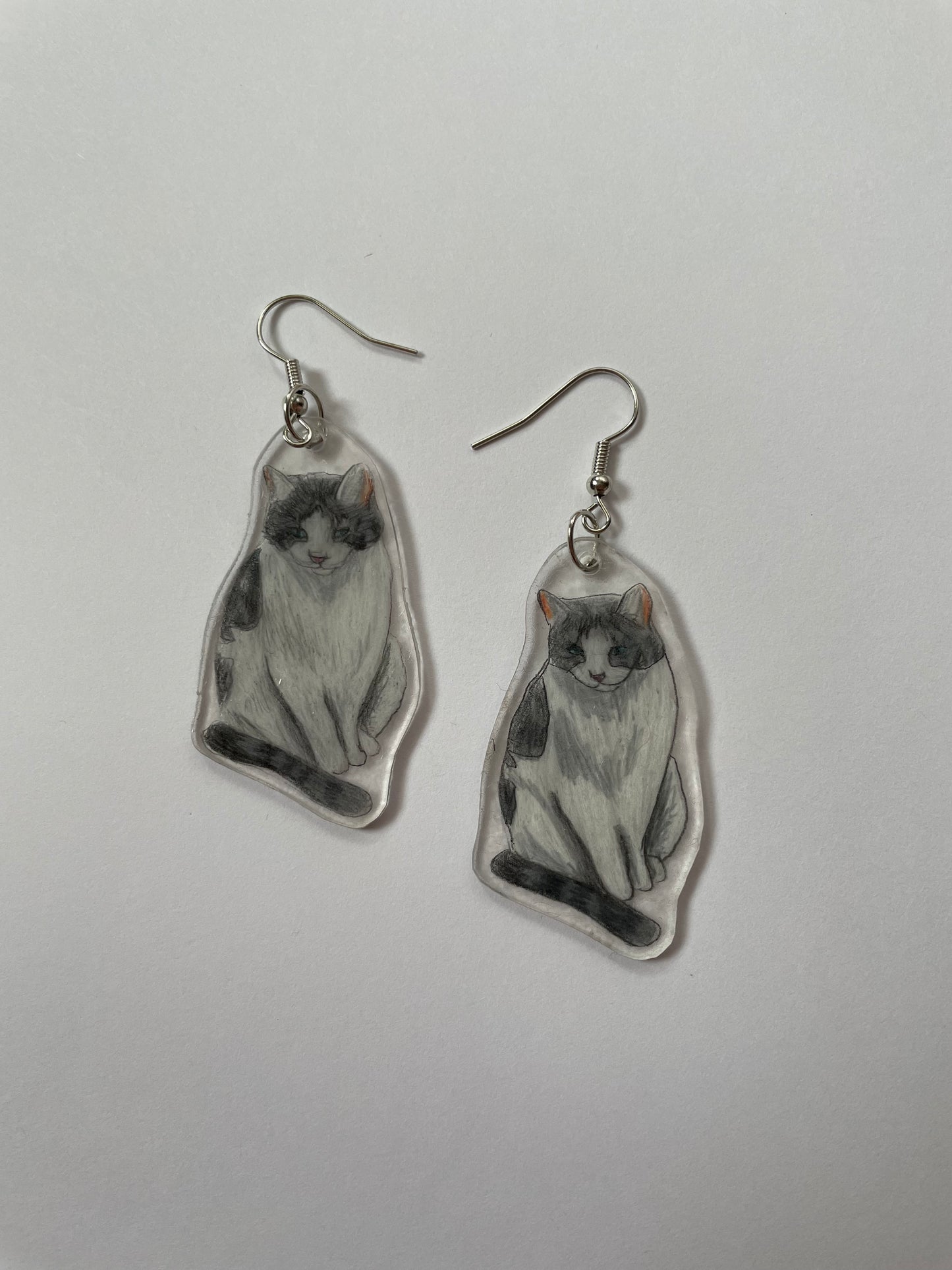 Customised Pet shrinkie earrings